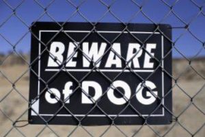 Beware of Dog Signs in Mississippi