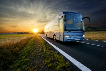 Bus Accident Case Value