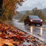 A red car travels along a wet road lined with fallen autumn leaves.